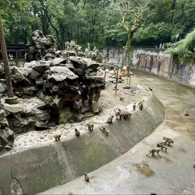 廣州動物園-市中心的動物世界