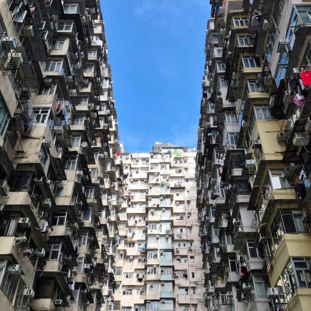 홍콩에서 어디 가보지?🇭🇰