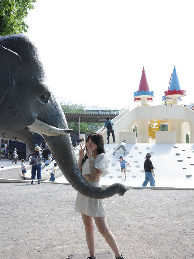 日本東京🇯🇵這個公園太可愛了！