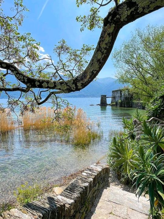 Brissago Island