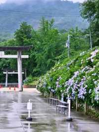あじさい神社
