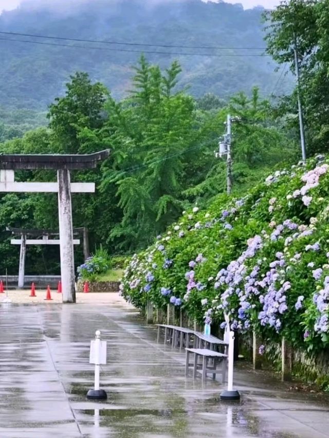 あじさい神社