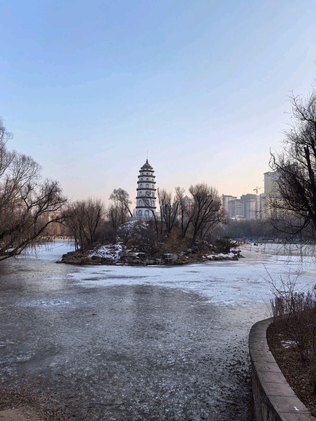 Winter Wonderland  @Xining People Park 
