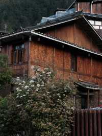 🇨🇳 Immersed in Tradition: Exploring the Rich Culture of Guizhou’s Qianhu Miao Village
