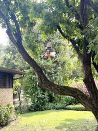 จิบกาแฟท่ามกลางสวนร่มรื่น ที่ Early Owls