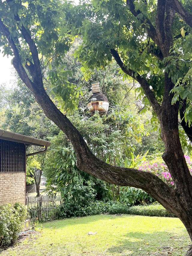 จิบกาแฟท่ามกลางสวนร่มรื่น ที่ Early Owls