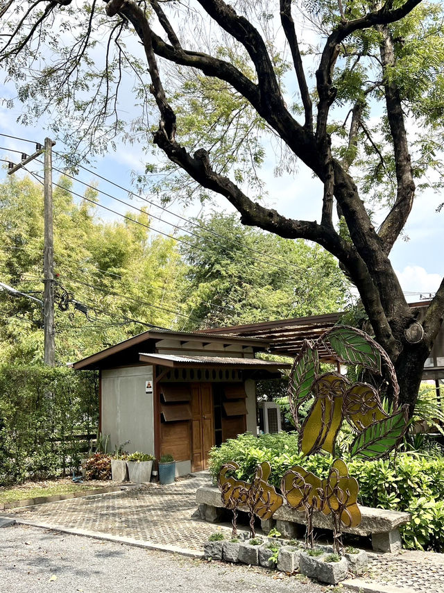 จิบกาแฟท่ามกลางสวนร่มรื่น ที่ Early Owls