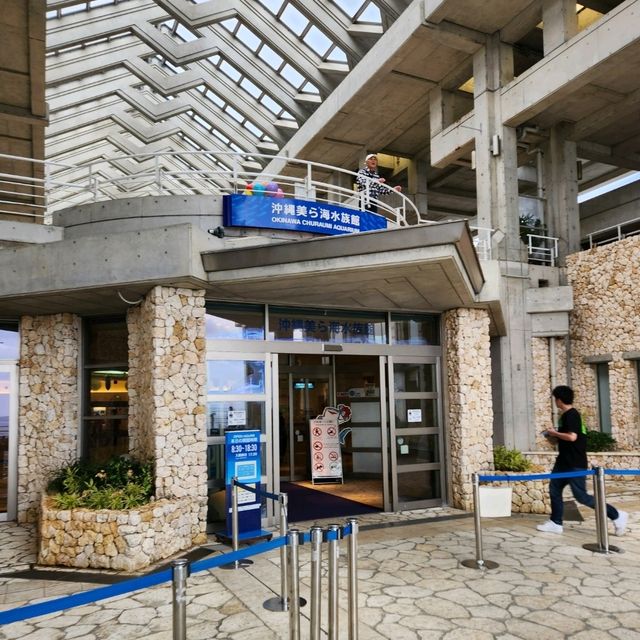 유아동반 최적의 여행지 '츄라우미 수족관"