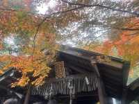 Pray for Love at the Poetic Nonomiya Shrine 