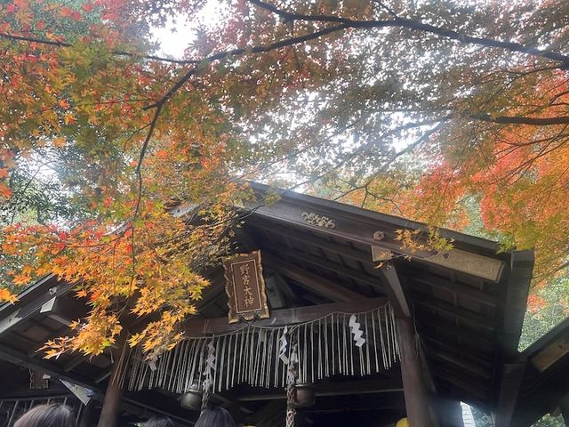 Pray for Love at the Poetic Nonomiya Shrine 