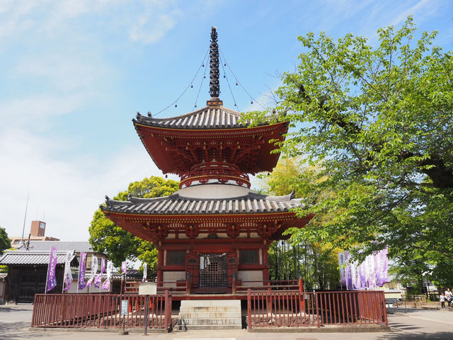 ⛩️ 喜多院｜意外發現的靜謐休憩地