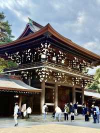 The Perfect Stroll: Meiji Jingu & Jingu Gaien