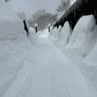 【秋田】人気宿 乳頭温泉郷 鶴の湯♨️雪の中で露天風呂♨️