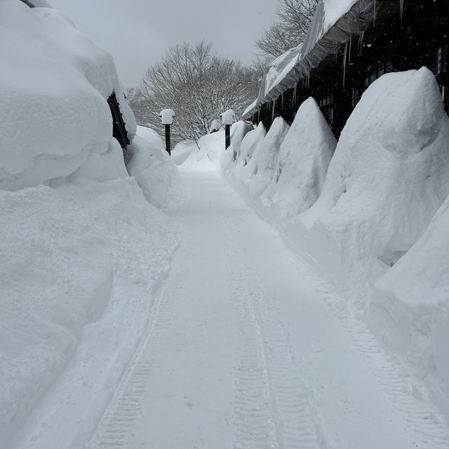【秋田】人気宿 乳頭温泉郷 鶴の湯♨️雪の中で露天風呂♨️