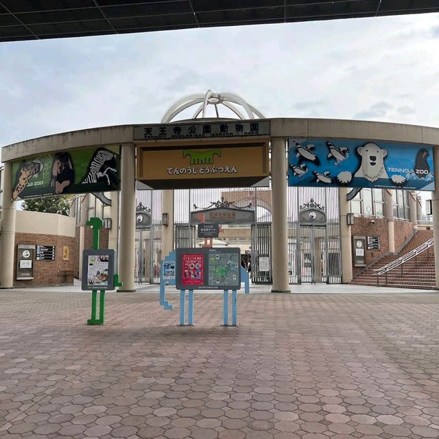 Tennoji Zoo (天王寺動物園) – A Relaxing Family-Friendly Attraction