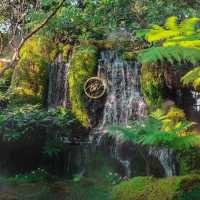 รวมคาเฟ่ธรรมชาติ ที่เชียงใหม่ 🏞️
