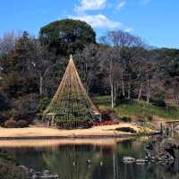 Rikugien Garden (六義園)