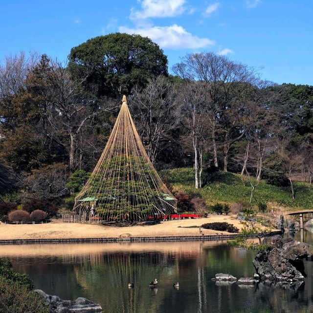 Rikugien Garden (六義園)