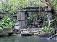 🚣‍♂️🌿 Jungle River Cruise