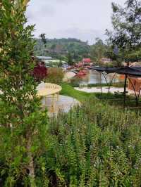 Picturesque Flower Garden