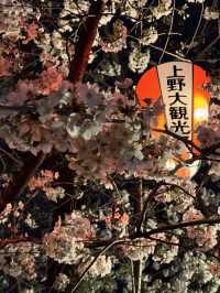上野公園夢中的夜櫻：心靈的溫暖之舞