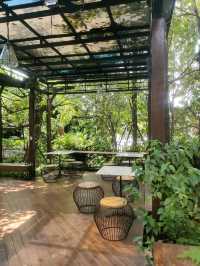 ต้นหว้าคาเฟ่ คาเฟ่บรรยากาศดี ใกล้สนามบินสุวรรณภูมิ