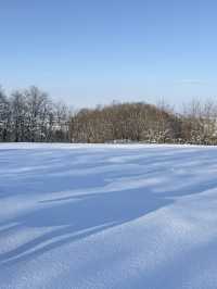 ❄️🐴 札幌雪景 × 夢幻騎馬體驗 🐴❄️