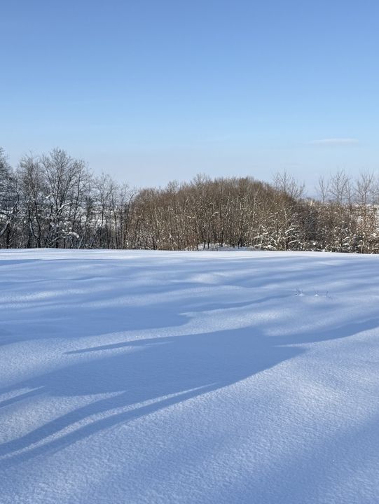 ❄️🐴 札幌雪景 × 夢幻騎馬體驗 🐴❄️