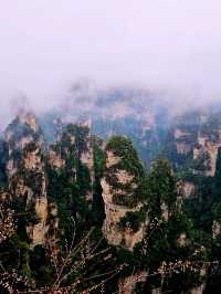  Zhangjiajie Adventure and beautiful Hot springs 