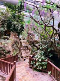  Zhangjiajie Adventure and beautiful Hot springs 