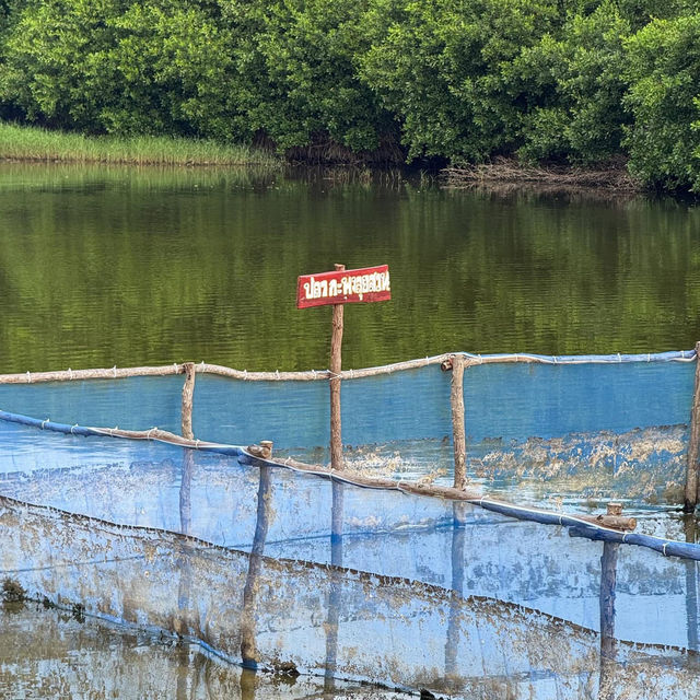 สภากาแฟกลางน้ำ กองเรือตรวจอ่าว อ.สัตหีบ จ.ชลบุรี