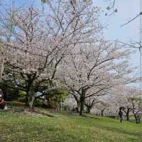 Kasuga Park (春日公園)