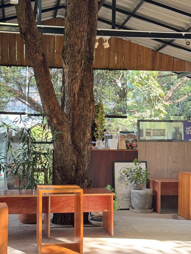 Vvoody café : คาเฟ่เล็กๆ ในแม่ทะ ลำปาง