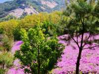 Buramsan Butterfly Park Flower Festival Review
