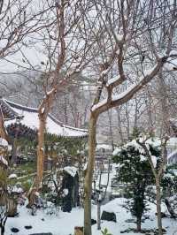 눈의 나라가 아니라 경남 월성계곡입니다❄️