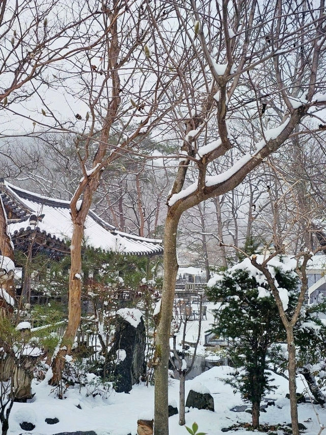 눈의 나라가 아니라 경남 월성계곡입니다❄️