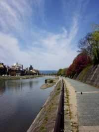京都｜歷史悠久的鴨川四条大橋 