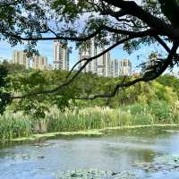 金灣濕地公園～自然的秘境