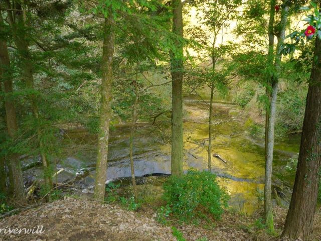 【千葉県】幸せを呼ぶハートの光芒！千葉「濃溝の滝」