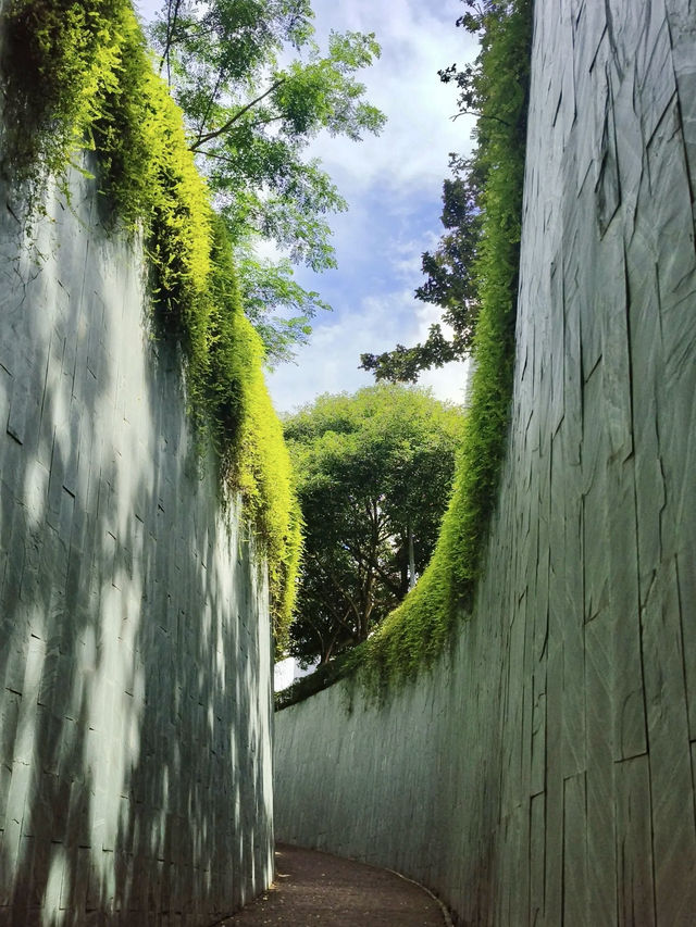 綠蔭深處的歷史回聲：福康寧公園散記