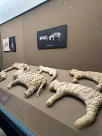 Artistic Treasures at Shanghai Museum