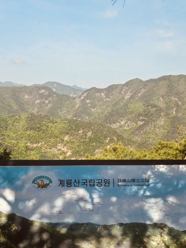 Spring's Gentle Wander on Bingyesan 🌸🚶‍♀️