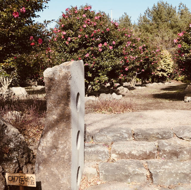 Spring's Photographic Art Garden 