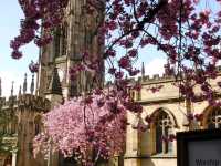Manchester Cathedral: The historical gem not to be missed out!