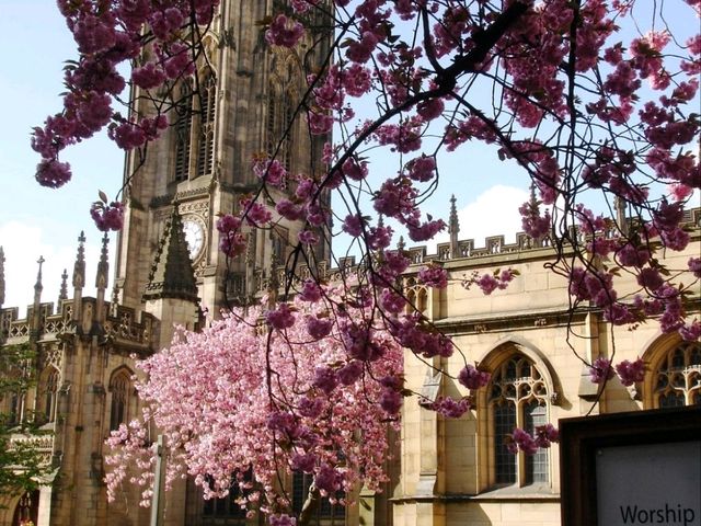 Manchester Cathedral: The historical gem not to be missed out!