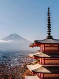 いったい誰なの？毎日みんなを日本に行かせようとしてるのは…🤣🇯🇵