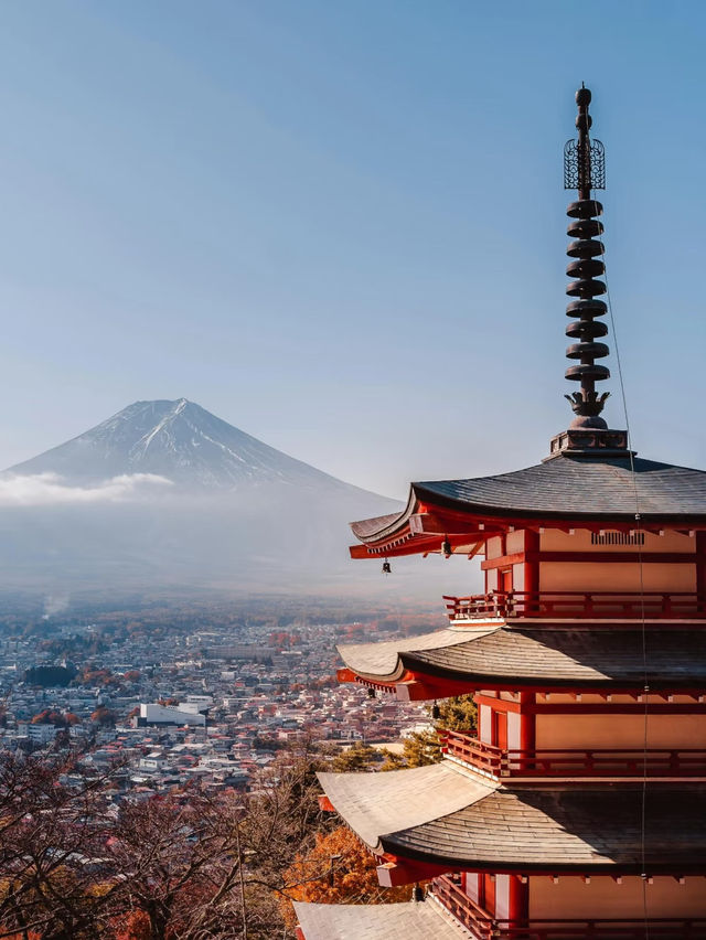 いったい誰なの？毎日みんなを日本に行かせようとしてるのは…🤣🇯🇵