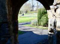 A Morning walking tour at Abbey park 