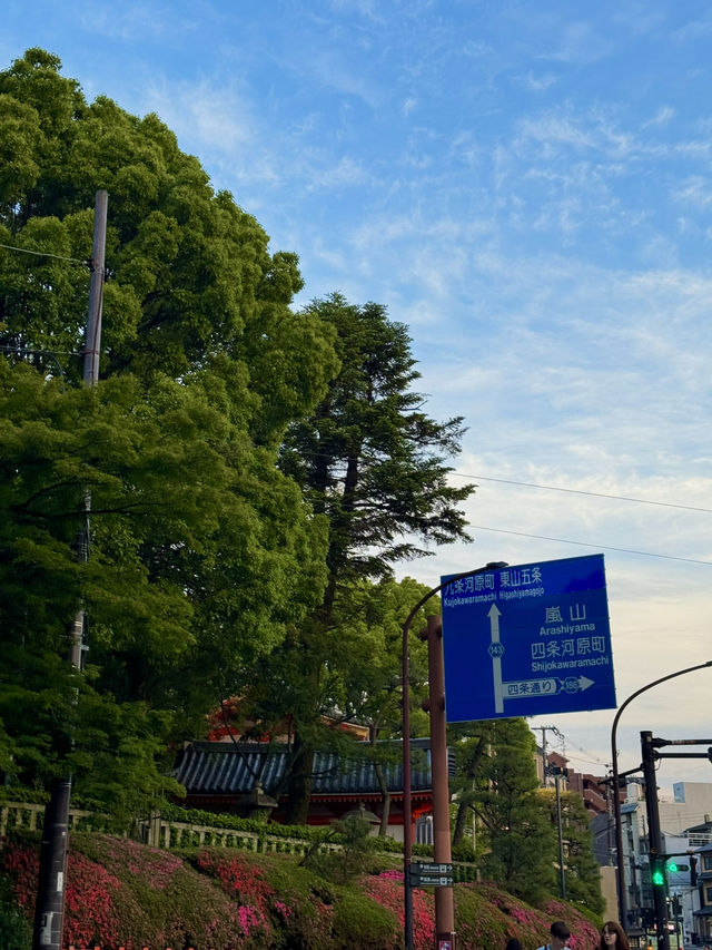 🚄 오사카에서 교토 가는 법 – 30분이면 가능!