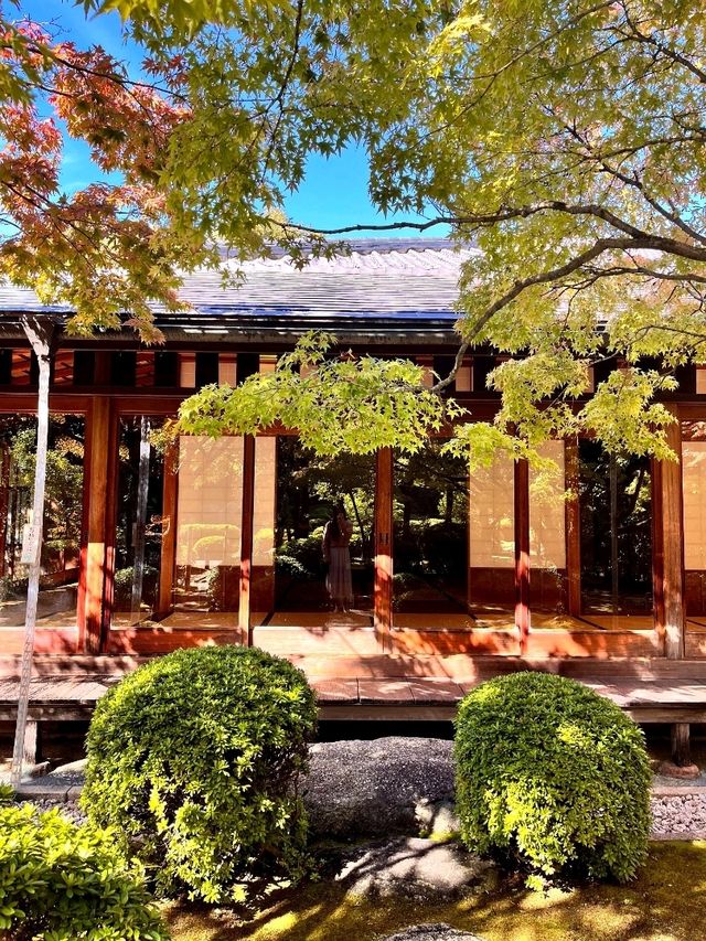 🌿 후쿠오카 오호리공원 속 숨은 명소, 일본정원 🌸